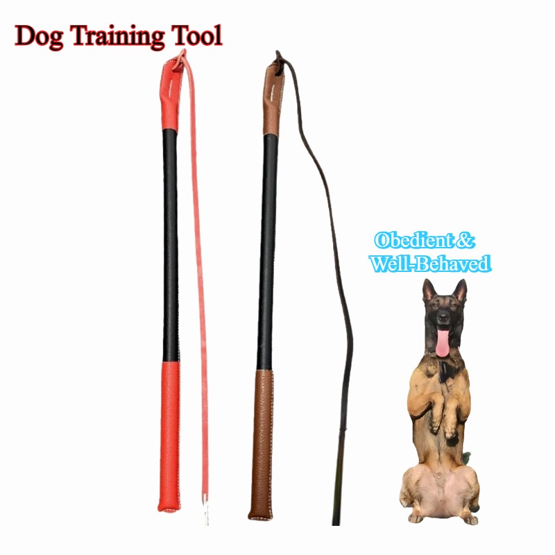 Leather Crack Whip - Dog Train - Leatherwork Training ulasan dan harga