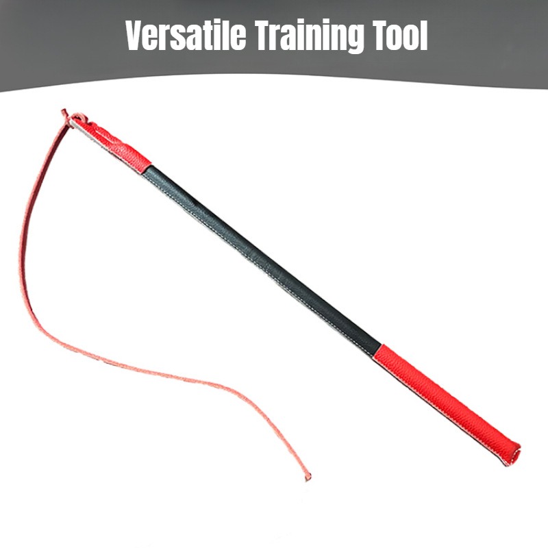 Leather Crack Whip - Dog Train - Leatherwork Training ulasan dan harga