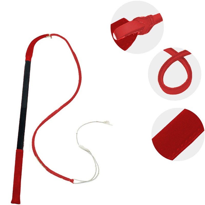 Leather Crack Whip - Dog Train - Leatherwork Training ulasan dan harga