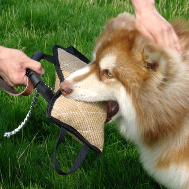 Dog Bite Tug Training Pillow I - Leatherwork Training ulasan dan harga