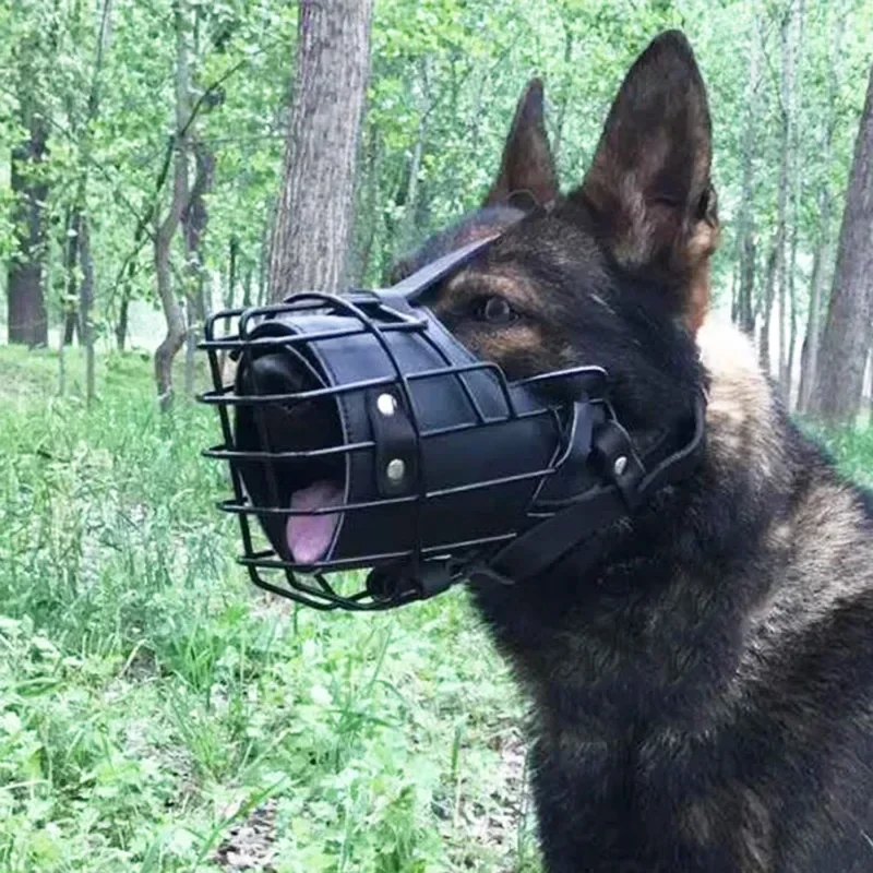 Mouth Cage German Shepherd Dog - Leatherwork Training ulasan dan harga