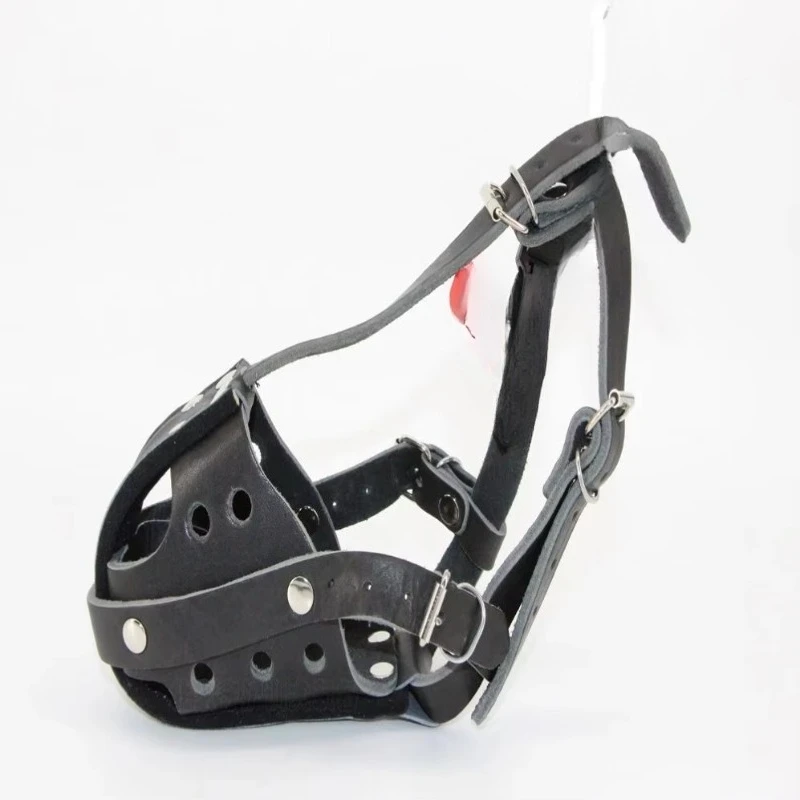 Tactical Dog Leather Working D - Leatherwork Training ulasan dan harga