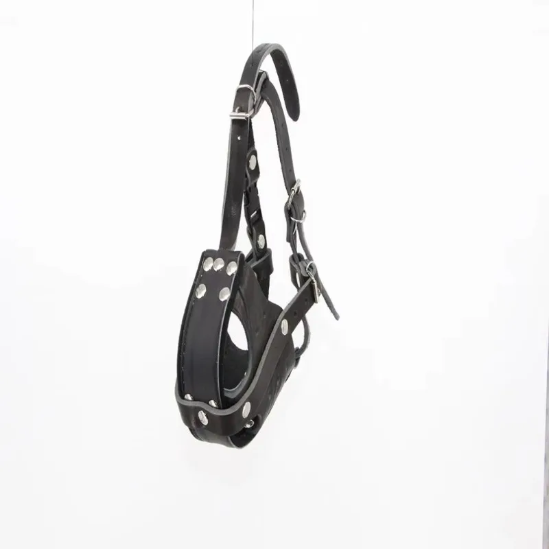 Tactical Dog Leather Working D - Leatherwork Training ulasan dan harga