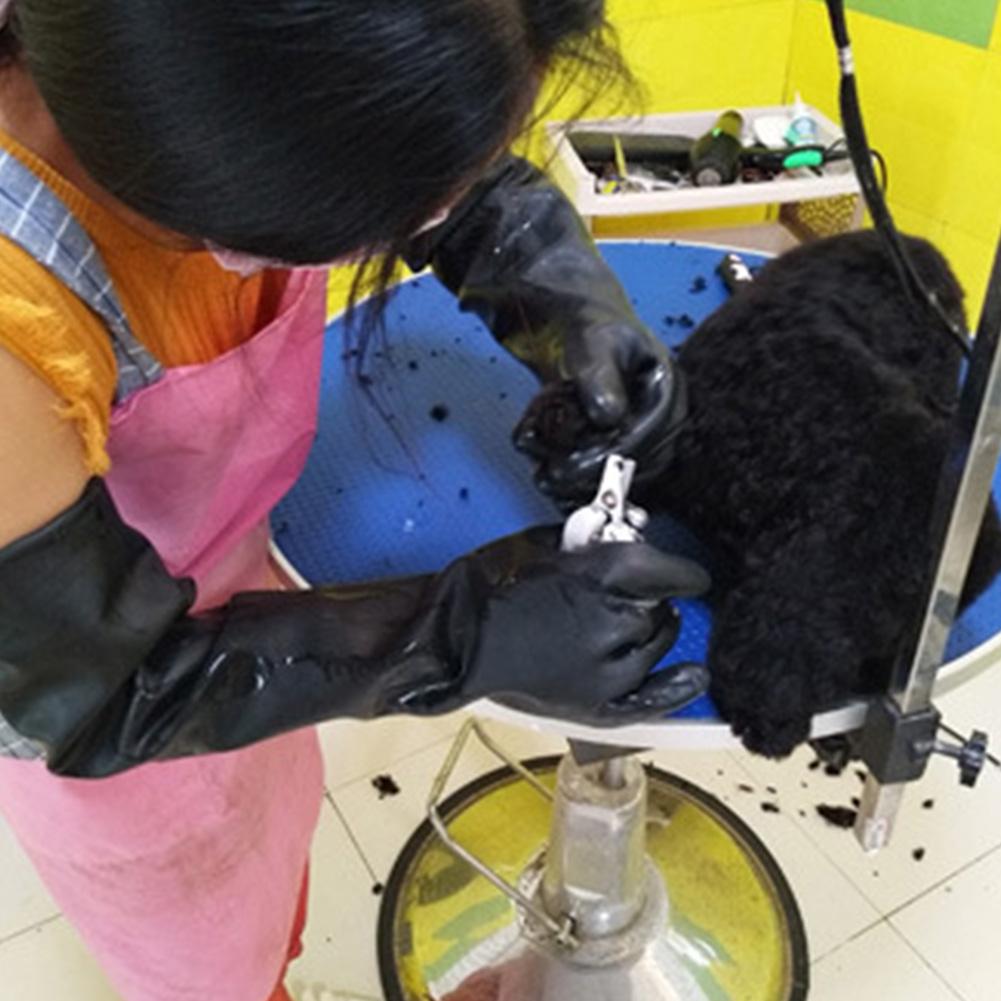 Pet Gloves Leather Anti-graspi - Leatherwork Training ulasan dan harga